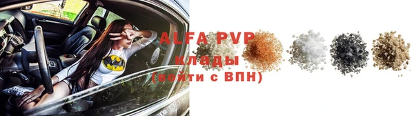эйфоретик Михайловск