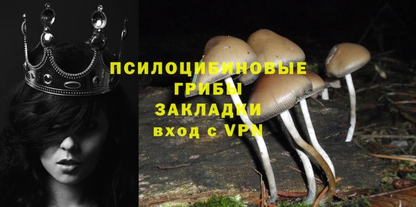 соль ск Белая Холуница
